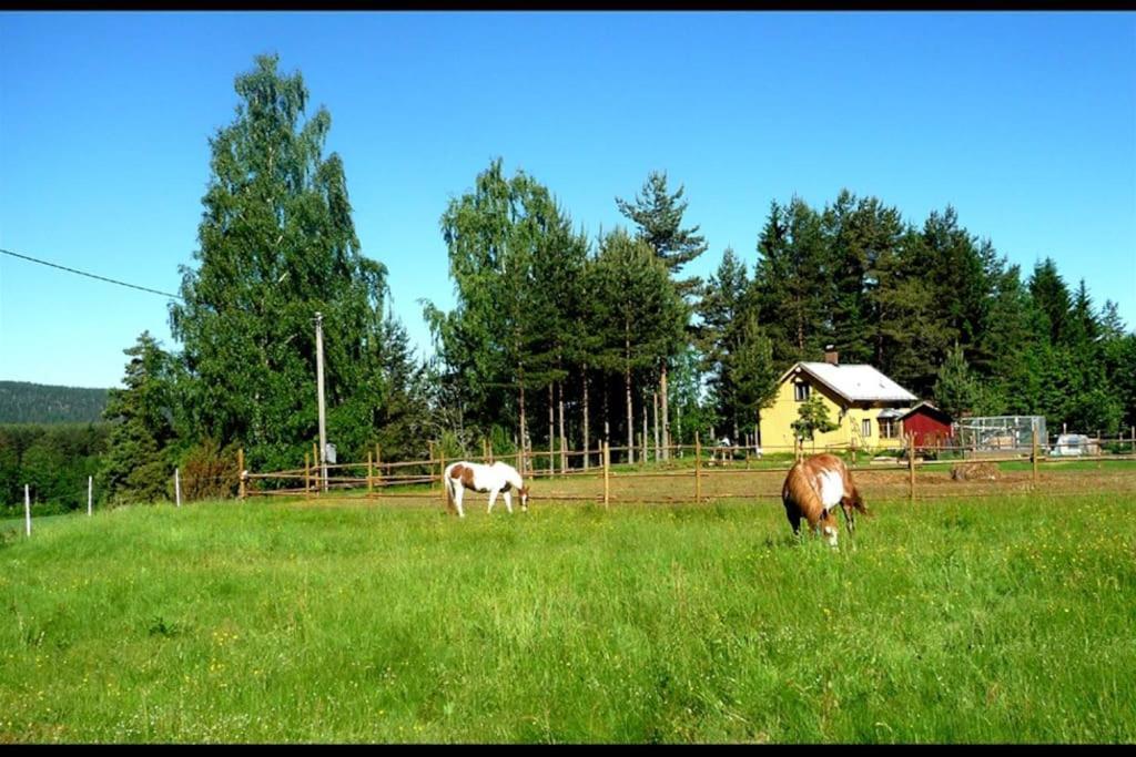 Little Forest House "Our Little Farm" Ekshärad 외부 사진