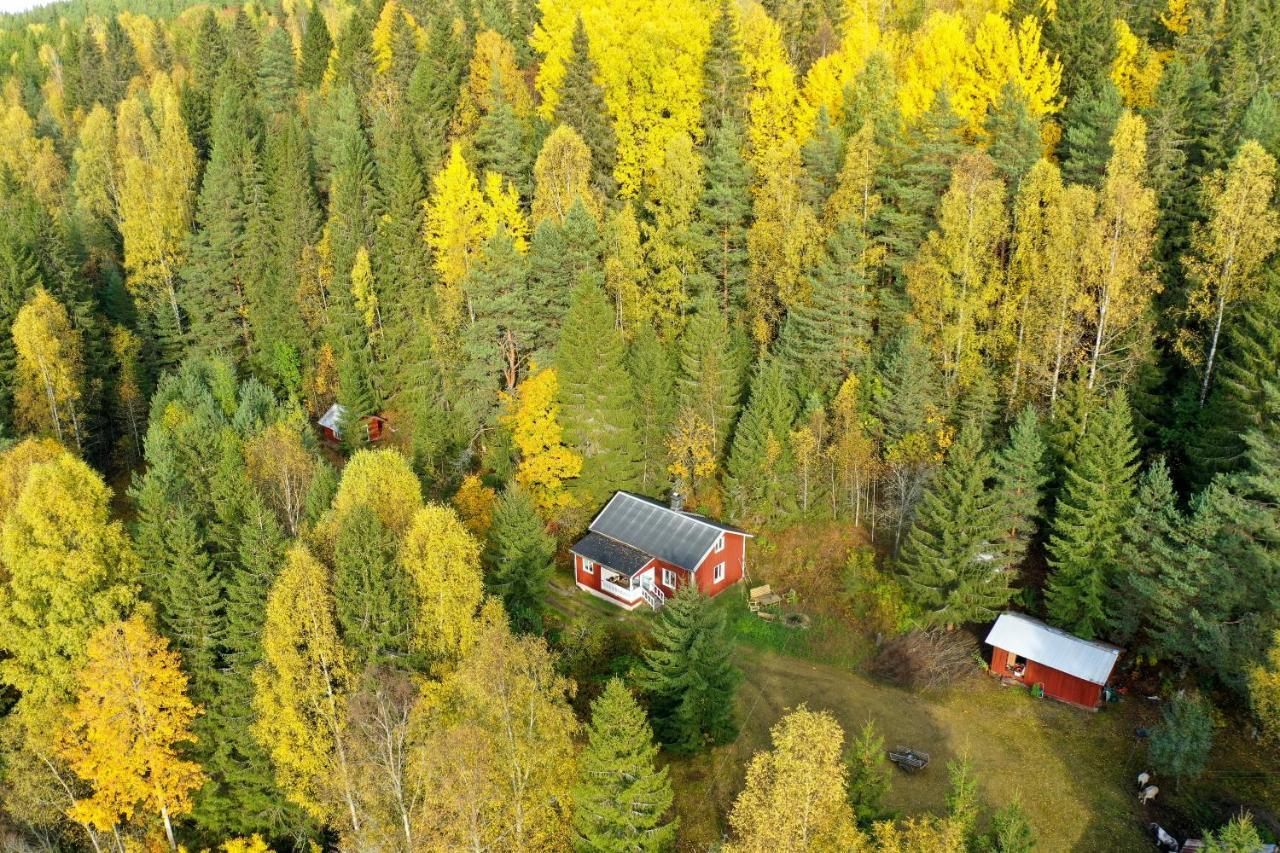 Little Forest House "Our Little Farm" Ekshärad 외부 사진